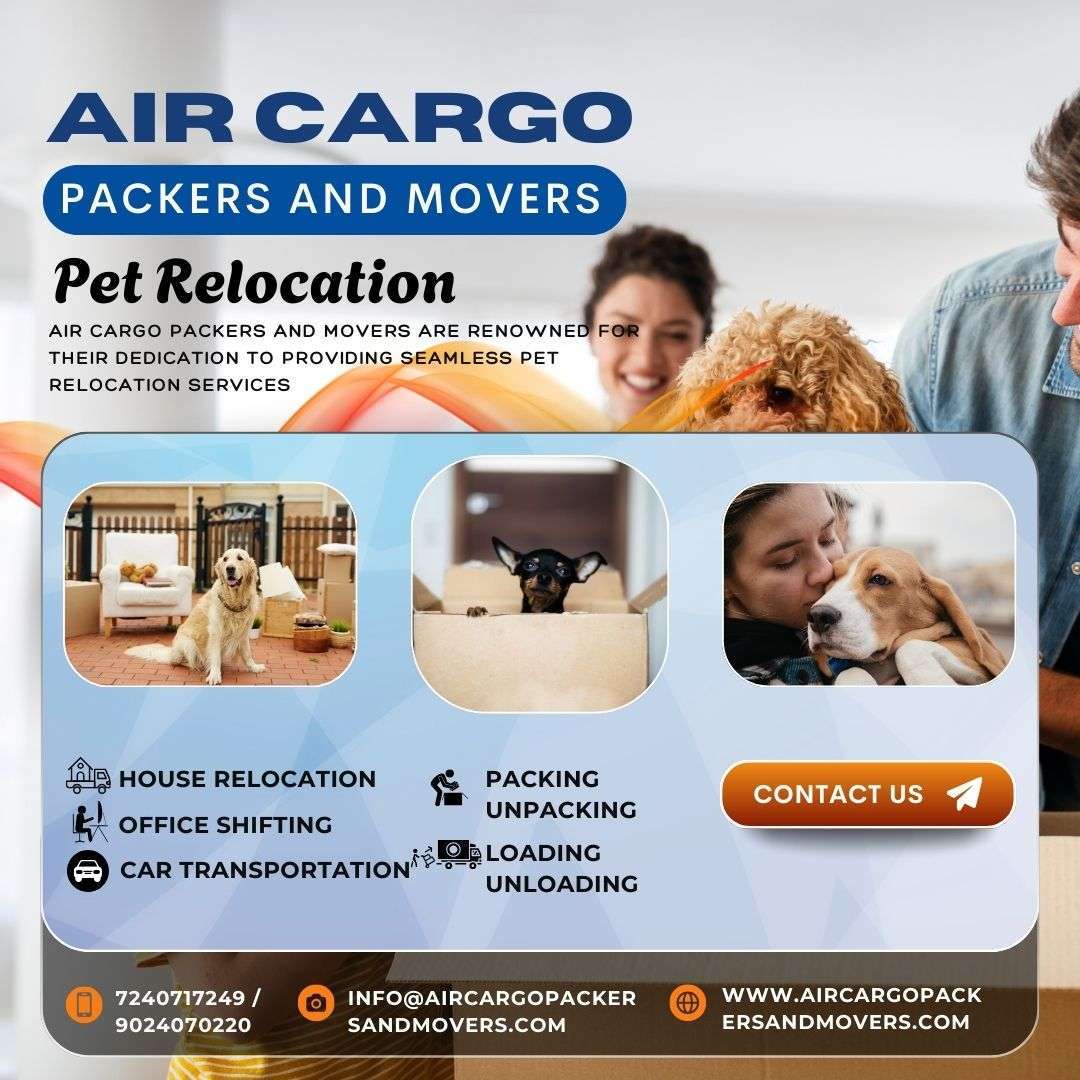 Air Cargo Packers and Movers